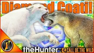 INSANE Multiplayer Hunt in Peru! | Albino Puma & Diamond Coati! | Call of the Wild