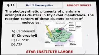 BIOENERGETICS | FREE LECTURE 2 | NMDCAT 2021 | STAR INSTITUTE | URDU/HINDI |