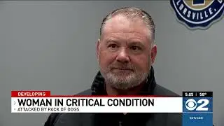 Officers kill one dog after pack attacks Taylorsville woman, leading to leg amputation
