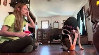 Lanna Ring Stacking Trick:Ring in ground and second ring