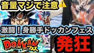※音量注意　新フェス限LR身勝手の極意　兆狙って引いてみた！【ドッカンバトル】【Dragon Ball Z Dokkan Battle】【実写】