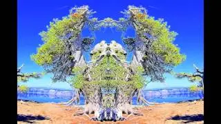 Fragments of Anamnesia