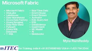 01  Fabric End to End Analytics SaaS product