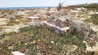 Beautiful Punic necropolis in Salakta, Ksour Essef, Tunisia 🌷