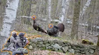 Picture Perfect Double - Turkey Hunting