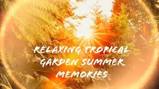 10 minutes of Relaxing UK Tropical Garden Summer Vibes Compilation