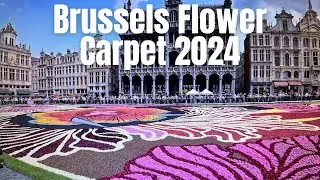 Brussels Flower Carpet 2024