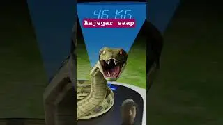 ajegar #snake #horrorstories #facts ####harekfriendkaminahotahai