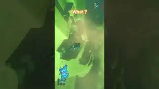 I love this bug in BOTW