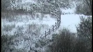 Minet Country Park in Snow early 2011