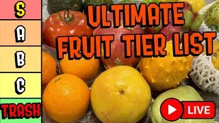 Shell Live: The ULTIMATE Fruit Tier List!!!
