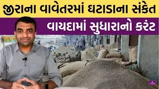 જીરાના વાયદામાં તેજીનો કરંટ | Jeera | Agriscience