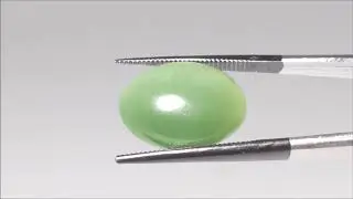 Chatoyant Nephrite Jade - Cat's Eye Cabochon (CatsEyeCab0029)