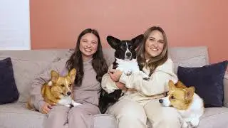 Celebrating Dog Dads and Must-Have Dog Products | The Yap Corner Podcast