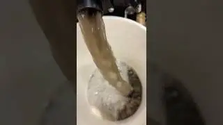 VOLUME UP ⬆️ 🤢 #carpetcleaning #carpetshampoo #dirtywater #deepclean #shorts #asmr #relaxing