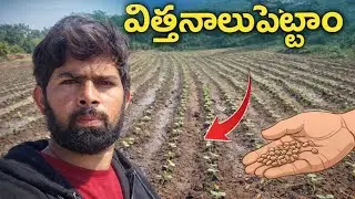 ఇవాళ విత్తనాలు పెట్టినము|| 3achers, 3months,12lakhs. challange 