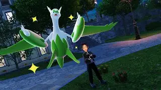 [49/79] Shiny Hunting EVERY Mega Pokemon (Full Odds) !mega !twitch