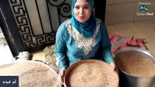روتين مباشر غربلة القمح