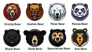 Every Bear Species explained in 8 Minutes