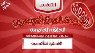 الحلقة الأخيرة🔥 الغني والفقير 👬: الفسفرة التأكسدية | بكالوريا