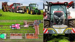 TRACTORBUMPER FRONTGEWICHTE bei der KAROTTENERNTE | Dewulf | Case | John Deere | New Holland