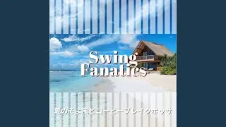 Relaxing Hammock Swing