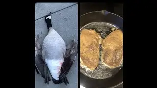 How to Cook Goose Steaks