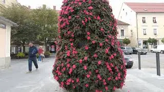 Walk Tour of Slovenia 2021 4K Celje Part two