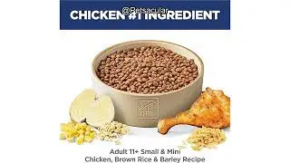 Hill's Science Diet Small & Mini 11+ Review: Is This Senior Dog Food Worth It?