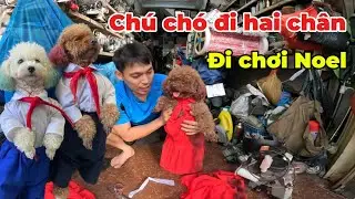 TROLL MAY ĐỒ NOEL CHO CHÚ CHÓ ĐI HAI CHÂN BẰNG ÁO CỦA MẸ