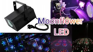 Moonflower LED Light Flash F7000610 10W 230v / Moon flower LED Disco Light