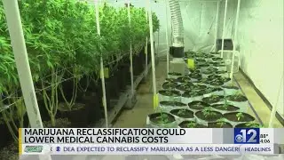 Could marijuana reclassification lower medical cannabis costs?