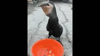 &zwj; &zwj; &zwj; &zwj;&zwj; &zwj; &zwj; &zwj;&zwj; &zwj; &zwj; &zwj;&zwj; &zwj; &zwj; &zwj;&zwj; &zwj; &zwj; &zwj;&zwj; &zwj; &zwj; &zwj;&zwj; &zwj; &zwj; &zwj;&zwj; &zwj; &zwj; &zwj;&zwj; &zwj; &zwj; &zwj;&zwj; &zwj; &zwj; &zwj;&zwj; &zwj; &zwj; &zwj;&zwj; &zwj; &zwj; &zwj;&zwj; &zwj;