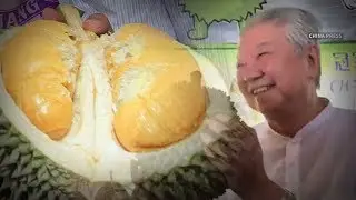 Food critic Chua Lam names new durian species &lsquo;Bao Bao&rsquo; durian