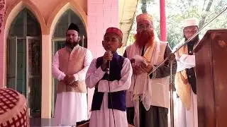 পদুয়া দায়রা শরীফ