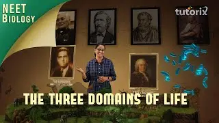 NEET, Biology - Three Domains Of Life