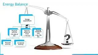 #ASOWebinars 7.5 Chrono-nutrition influence on weight loss.