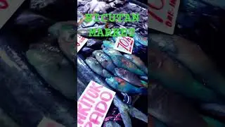 FISH MARKET METRO MANILA PHILIPPINES 🇵🇭