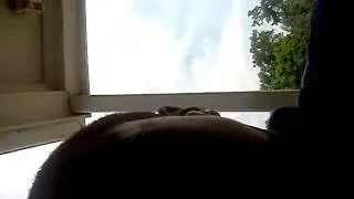 Hj