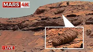 NASA Mars Rover Send Most Latest 4K 360&deg; Footage of Mars SOL 1548! Mars Perseverance Rover Video