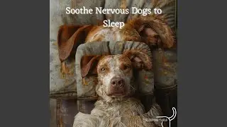 Pet Care Therapy