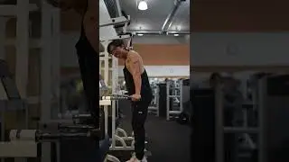 How to do Tricep Dips Correctly