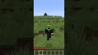 If I Touch a creeper, the video ends