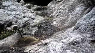 Marshall Gulch Trail