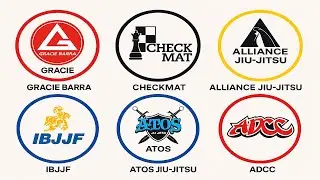 Every Jiu Jitsu School Explained In 13 Minutes
