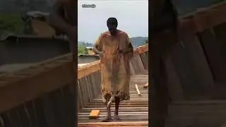 Многие ли из вас помнят Эбо Ноя?