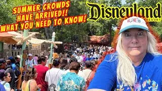 Summer Crowds at Disneyland 2025 | Are Wait Times Getting Worse... You Might Be Surprised!