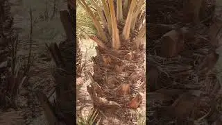 Out of Riyadh Ep2 #riyadh #video