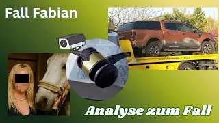 Analyse zum Fall Fabian #fabiang&uuml;strow