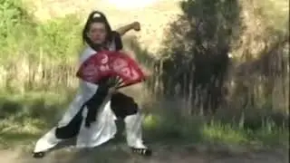 TAI CHI 56   MASTER PATY LEE, SHAOLIN WUDANG